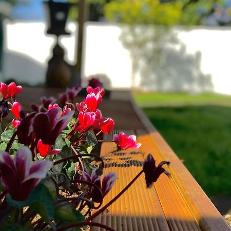 Hotel Onehunga Garden Tinyhouse With Parking Auckland Exteriér fotografie