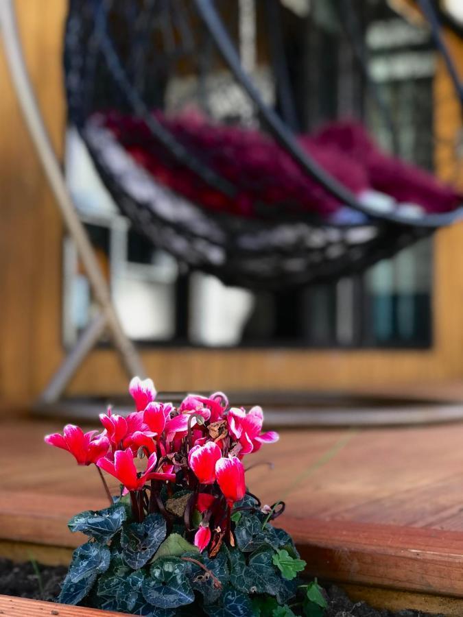 Hotel Onehunga Garden Tinyhouse With Parking Auckland Exteriér fotografie
